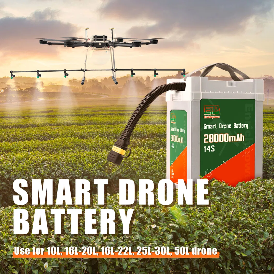 Modulo di alimentazione per droni personalizzato con batteria da 51,8 V Modulo di volo per droni AC-DC 2