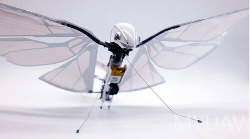 ultime notizie aziendali su Tecnologia UAV bionica analisi teorica, tecnologia UAV ad ala battente spiegazione dettagliata